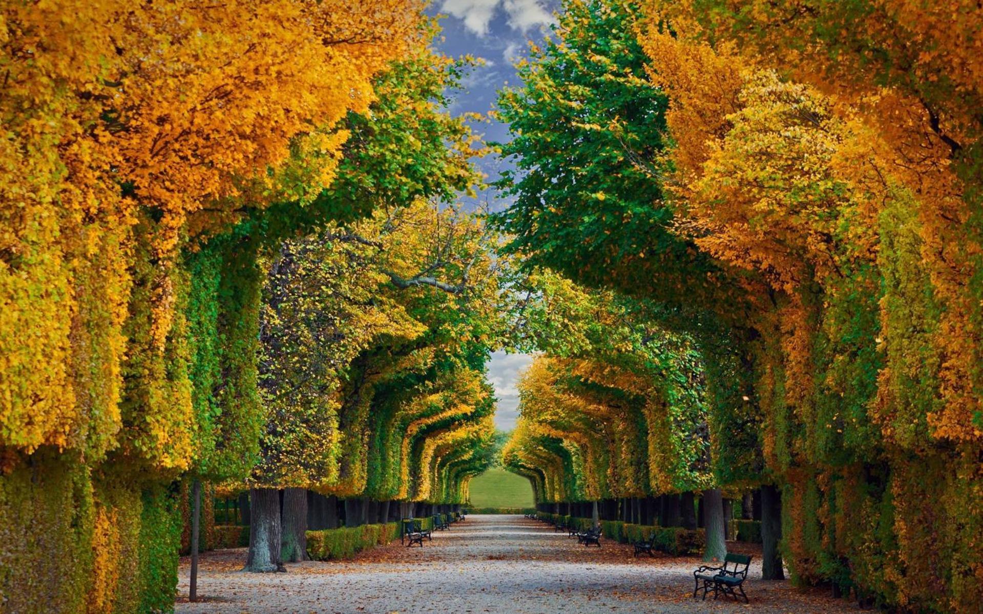 Imperial Schoenbrunn Vídeň